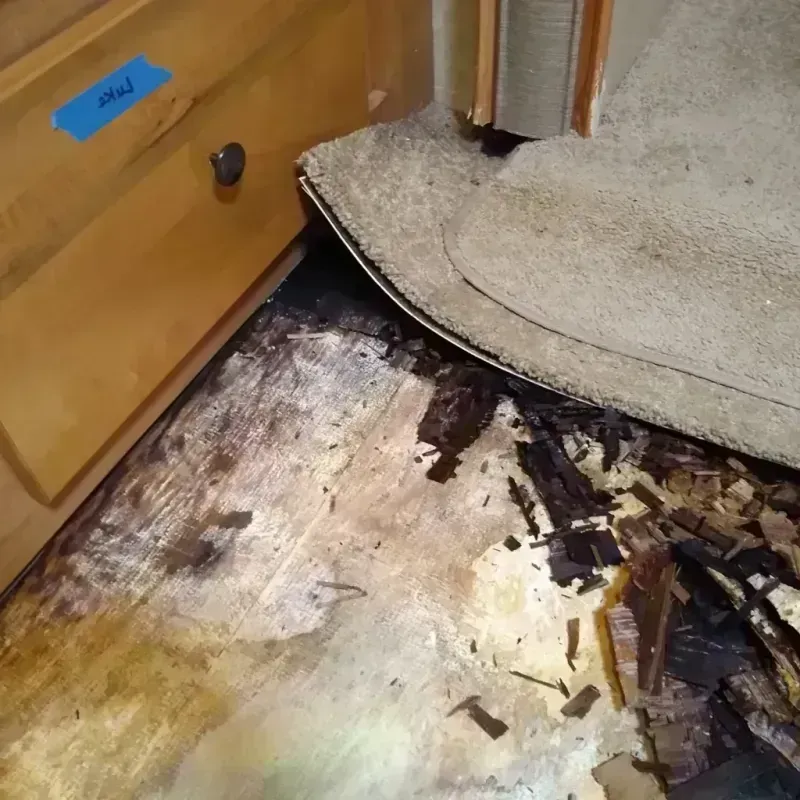 Best Wood Floor Water Damage Service in Harford County, MD